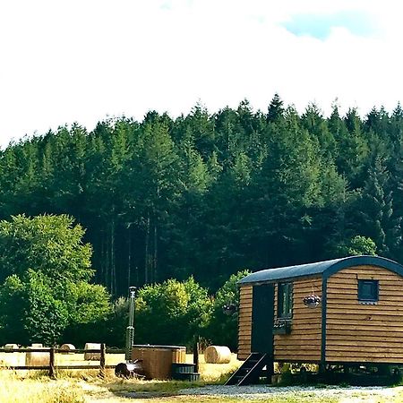 Вилла Roosters Retreat Лонсестон Экстерьер фото